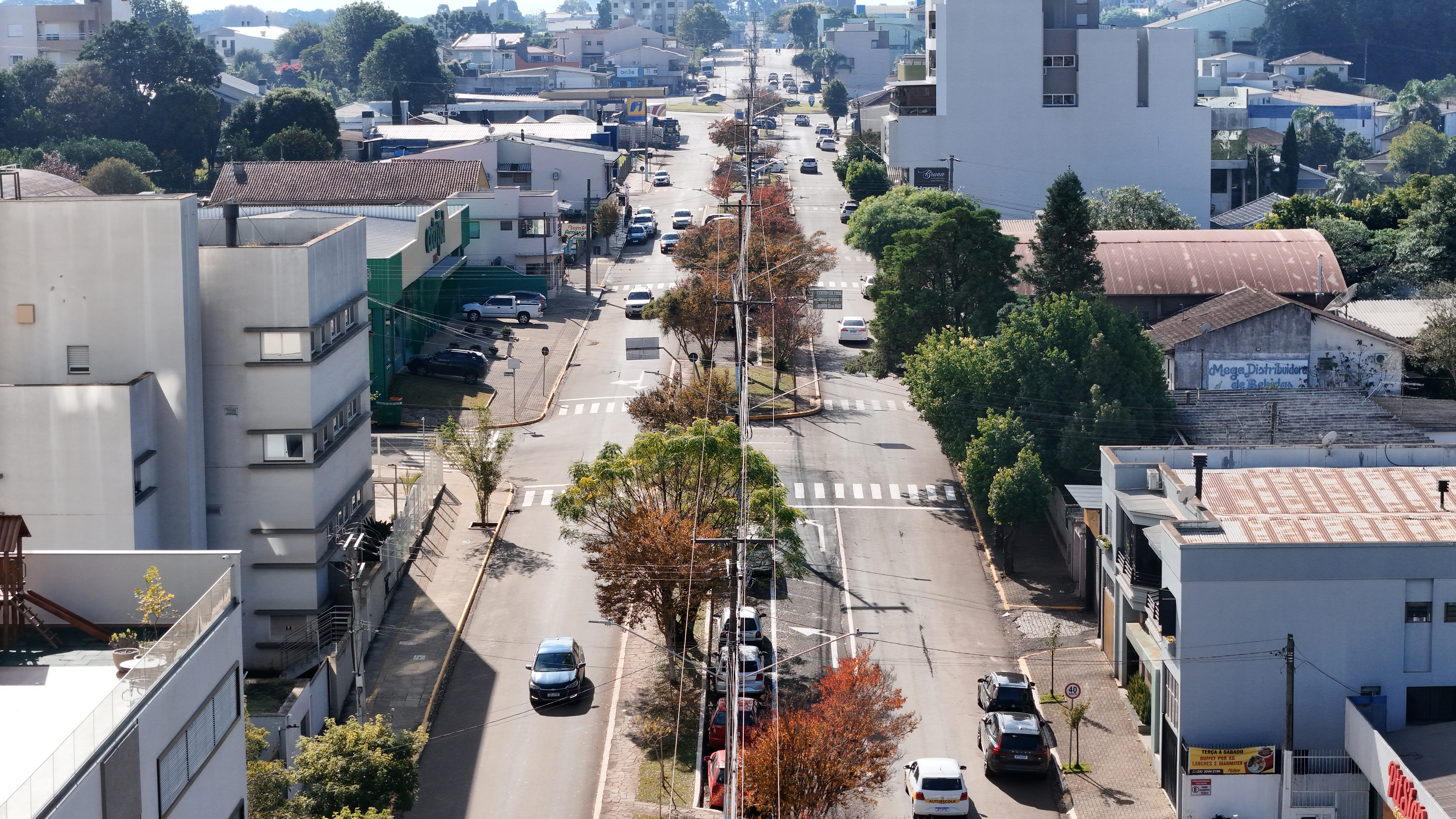 Tema 2026: “Arborização Urbana como promotora da saúde coletiva”.